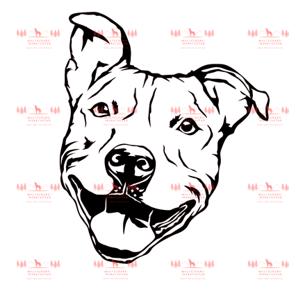 Pitbull 6