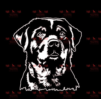 Rottweiler 1