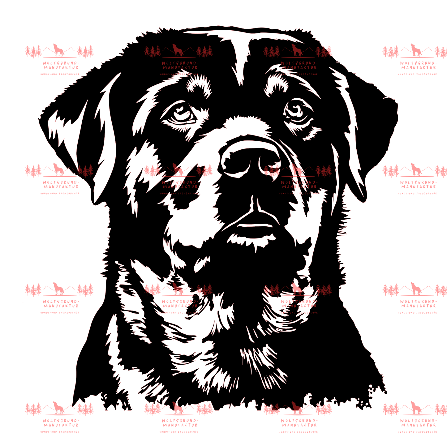 Rottweiler 1