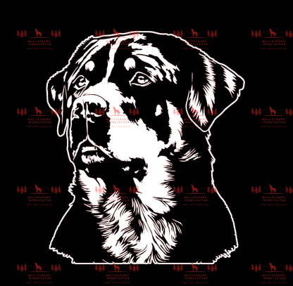 Rottweiler 2