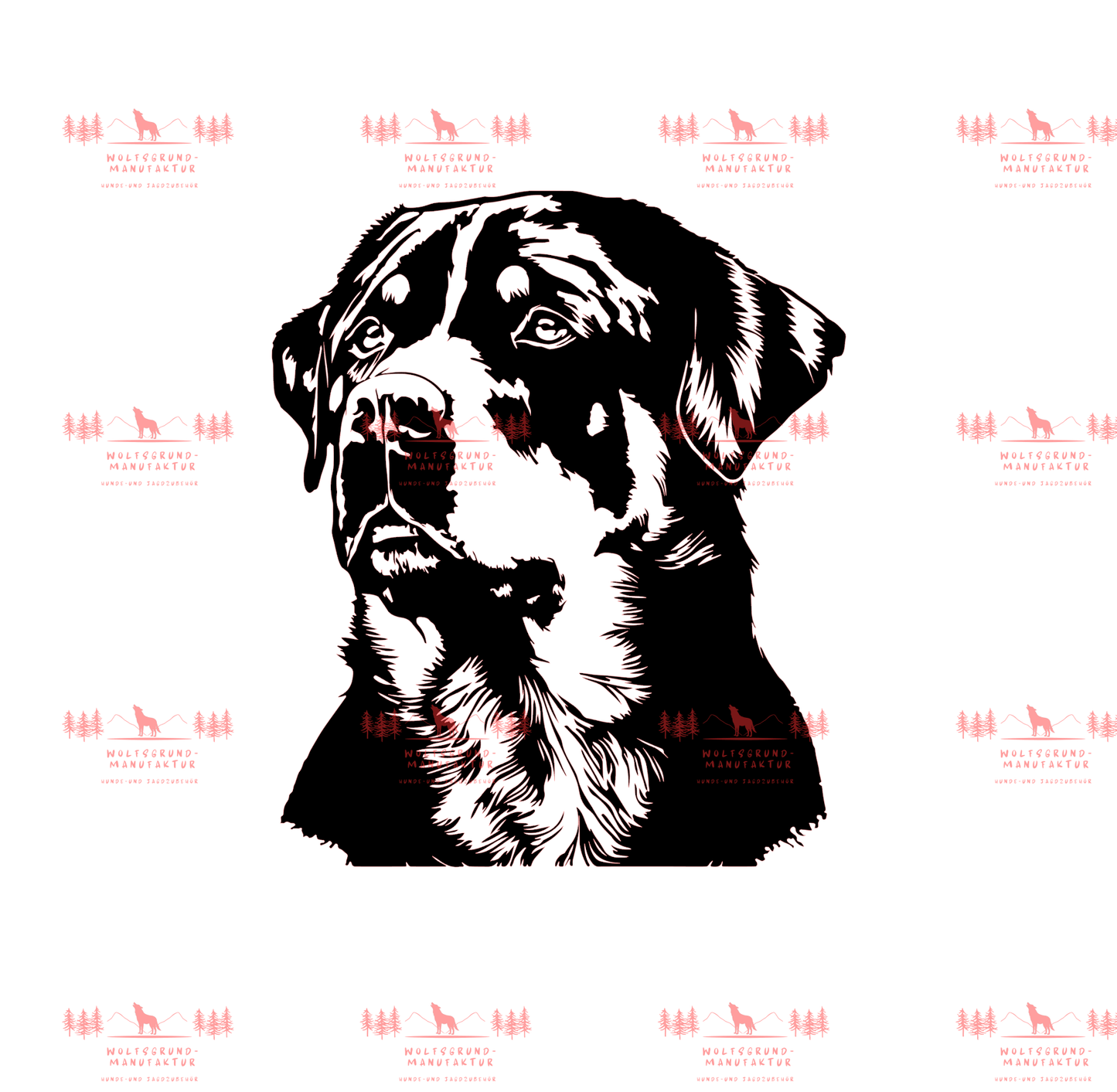 Rottweiler 2
