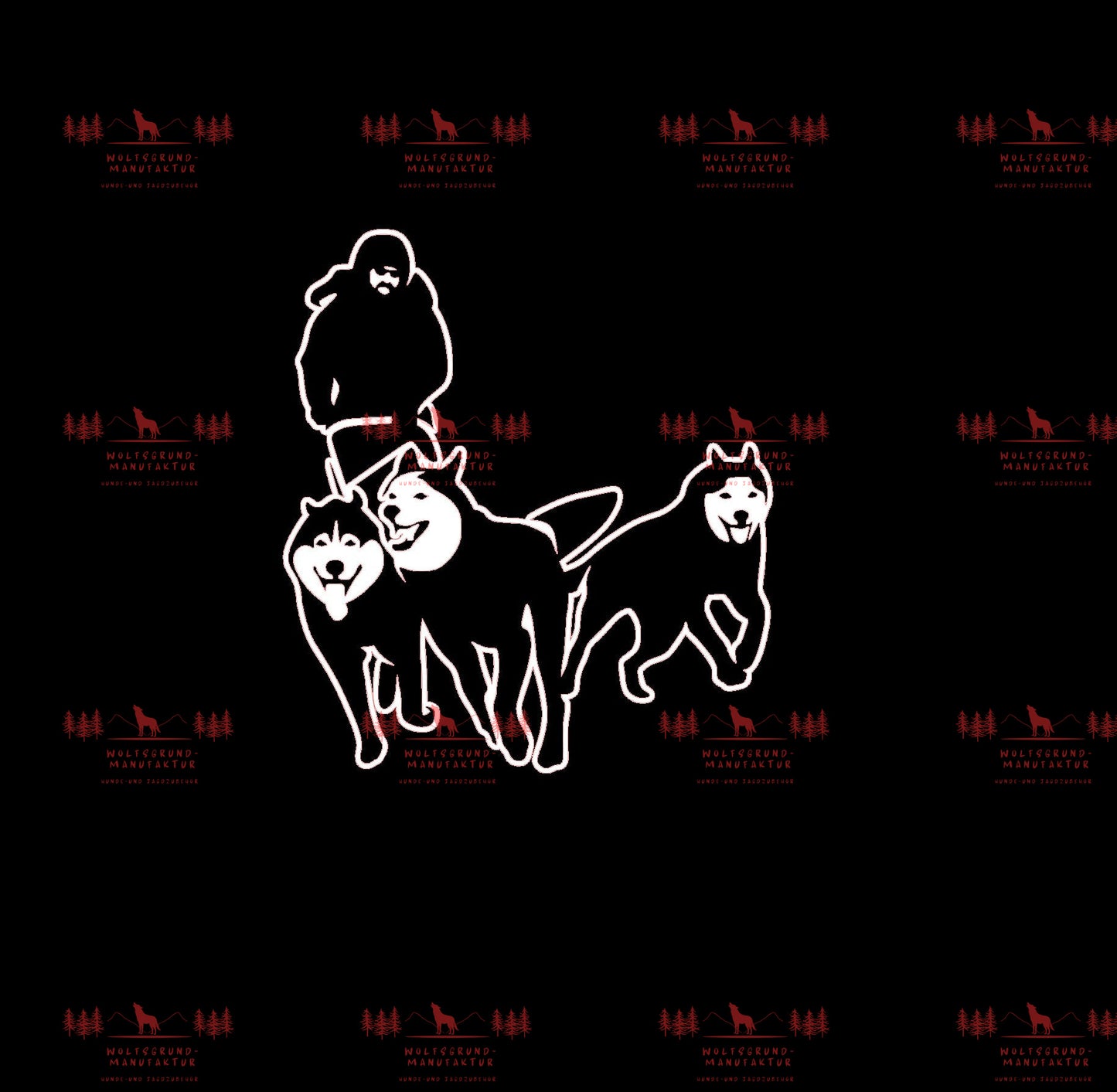 Schlittenhunde 1