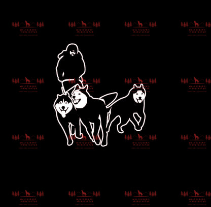Schlittenhunde 1