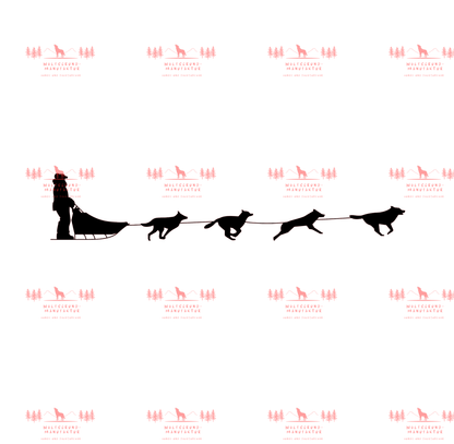 Schlittenhunde 2