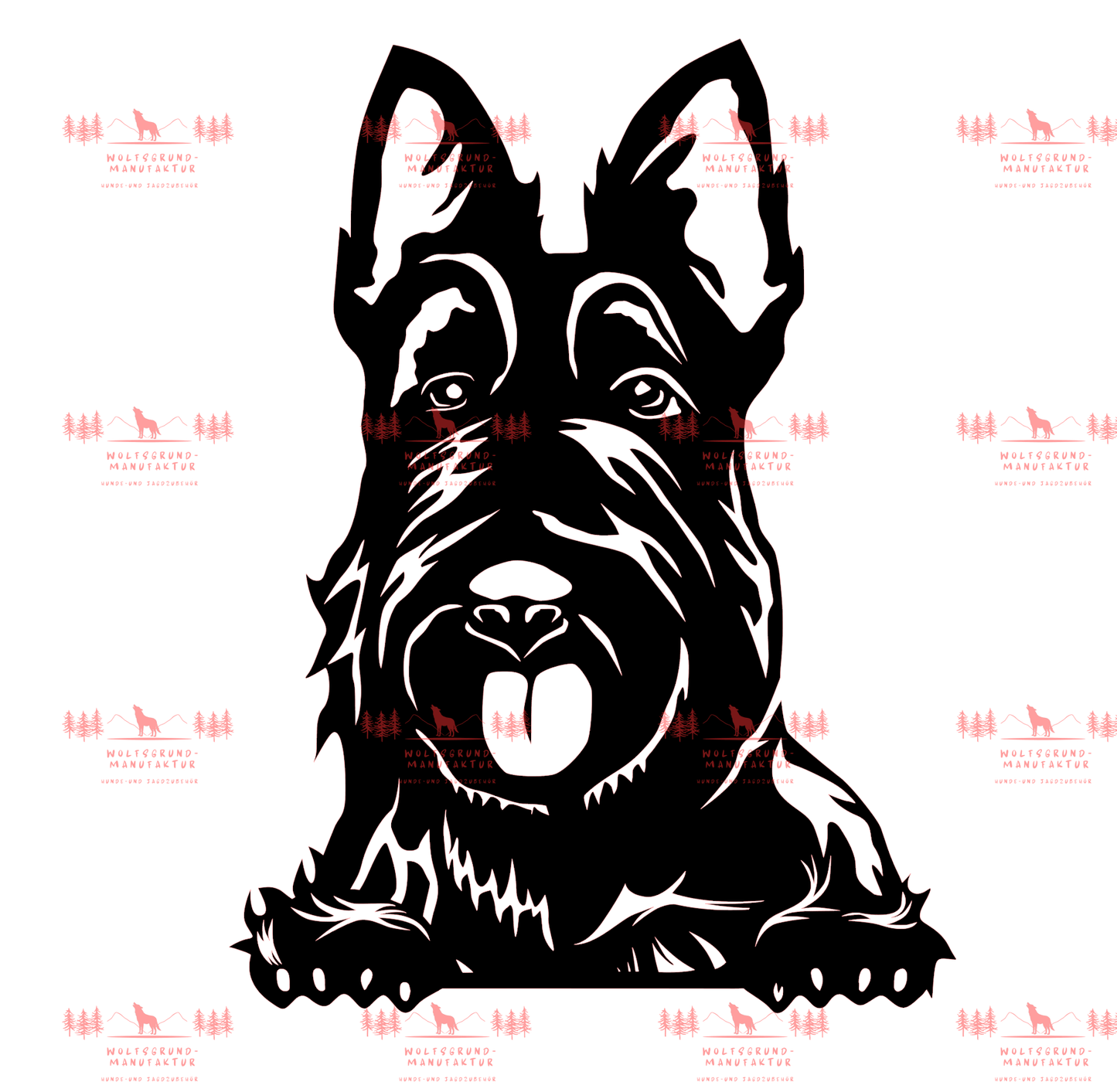Scottish Terrier 1