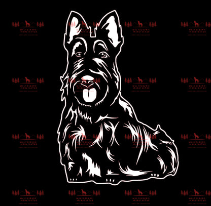 Scottish Terrier 2