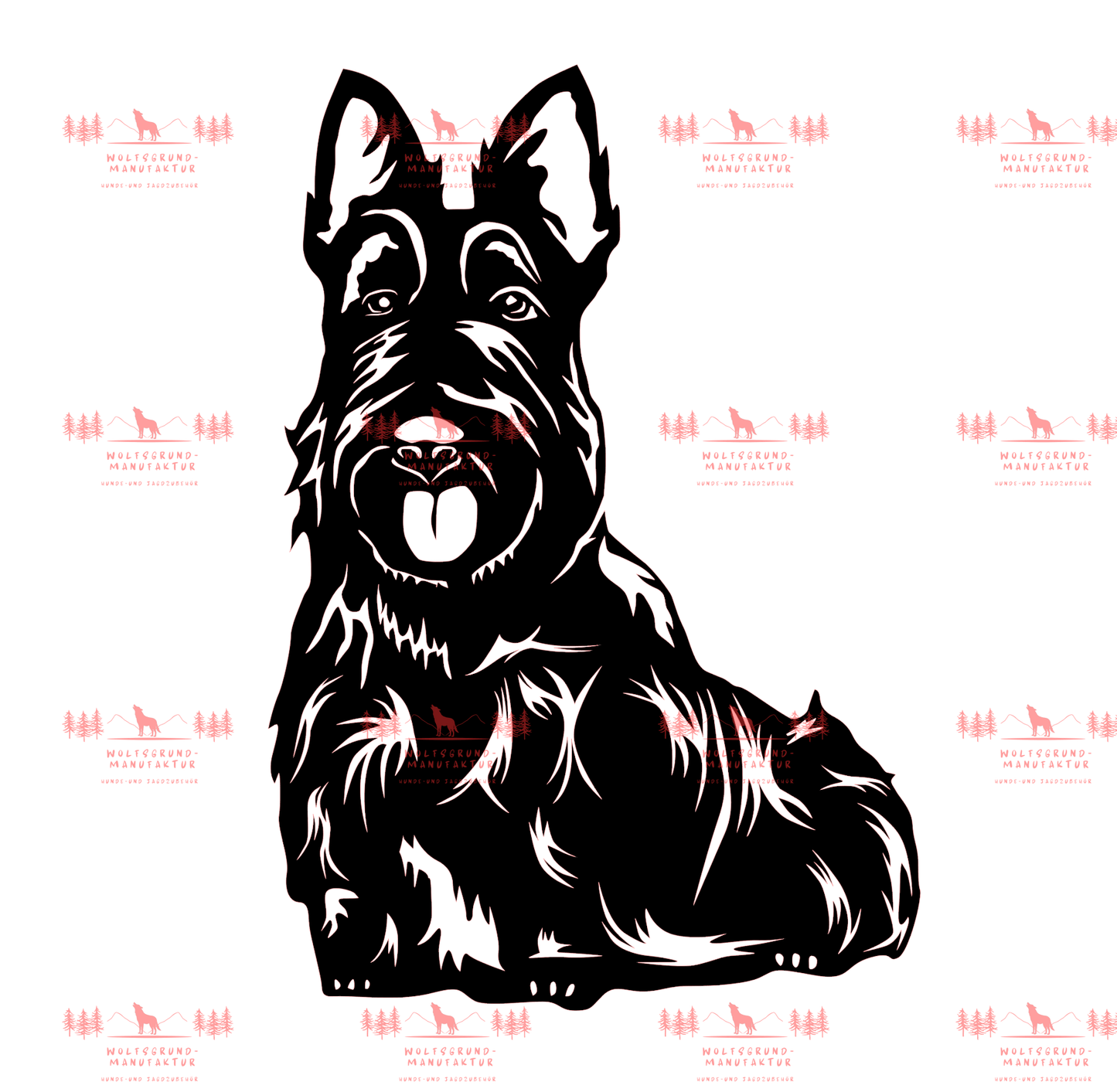 Scottish Terrier 2