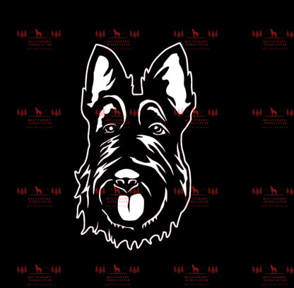Scottish Terrier 3