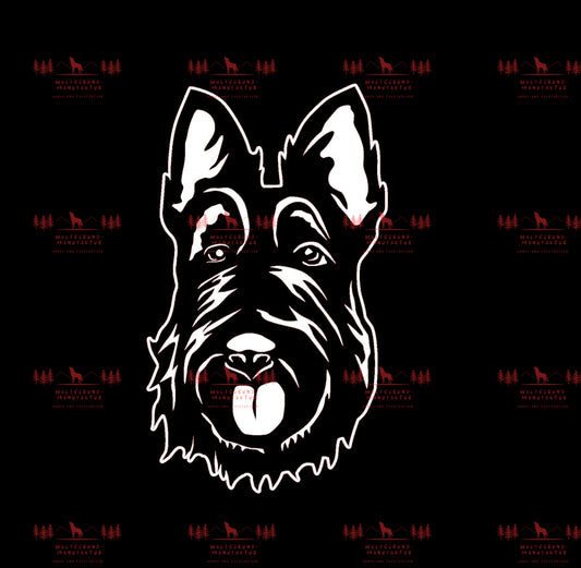 Scottish Terrier 3