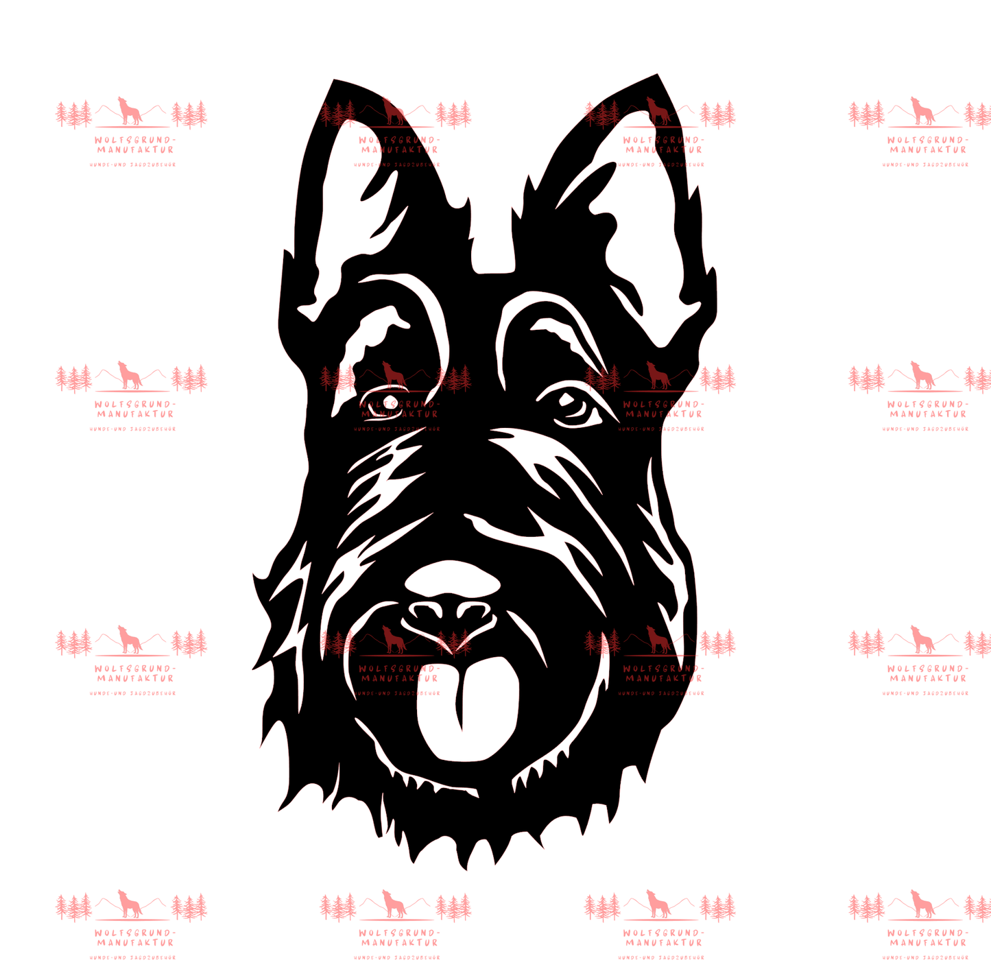 Scottish Terrier 3
