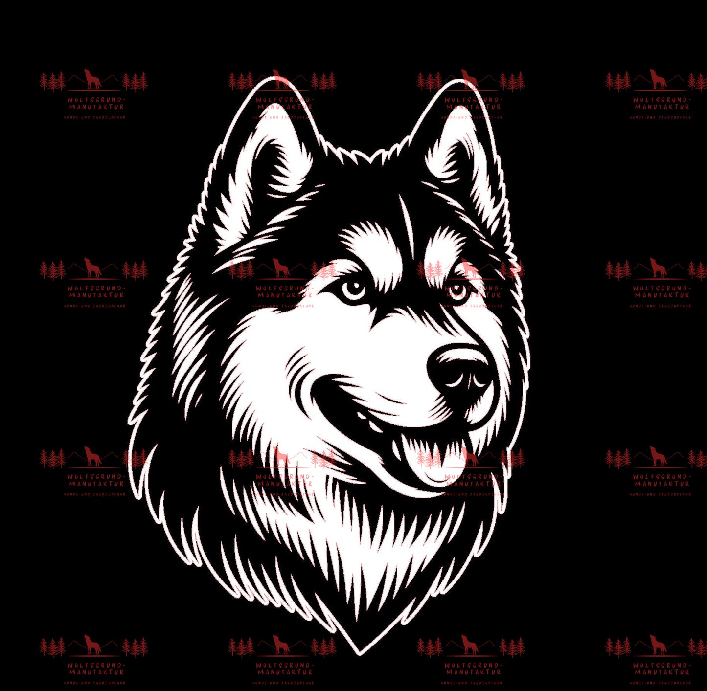 Siberian Husky 1