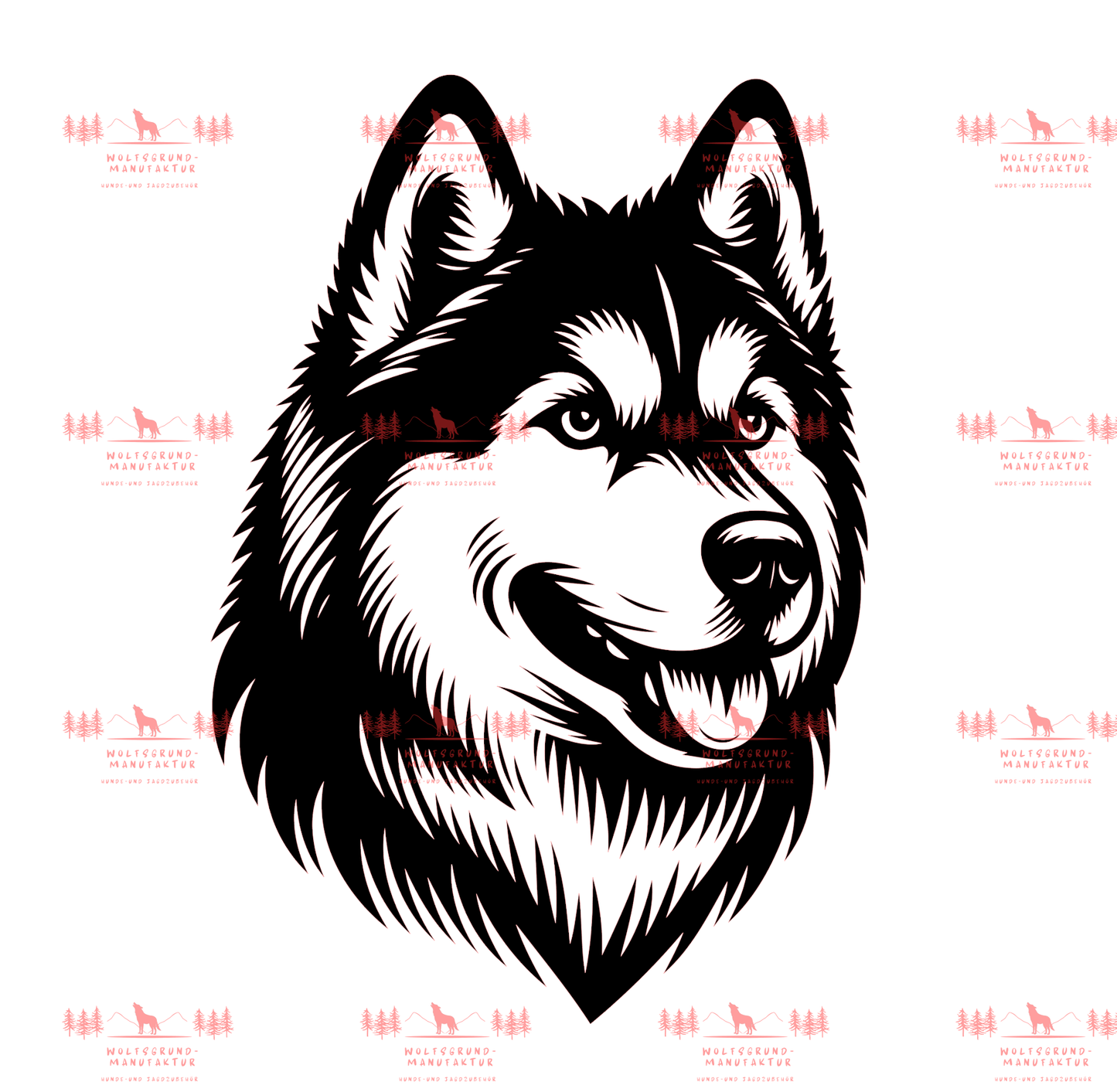 Siberian Husky 1