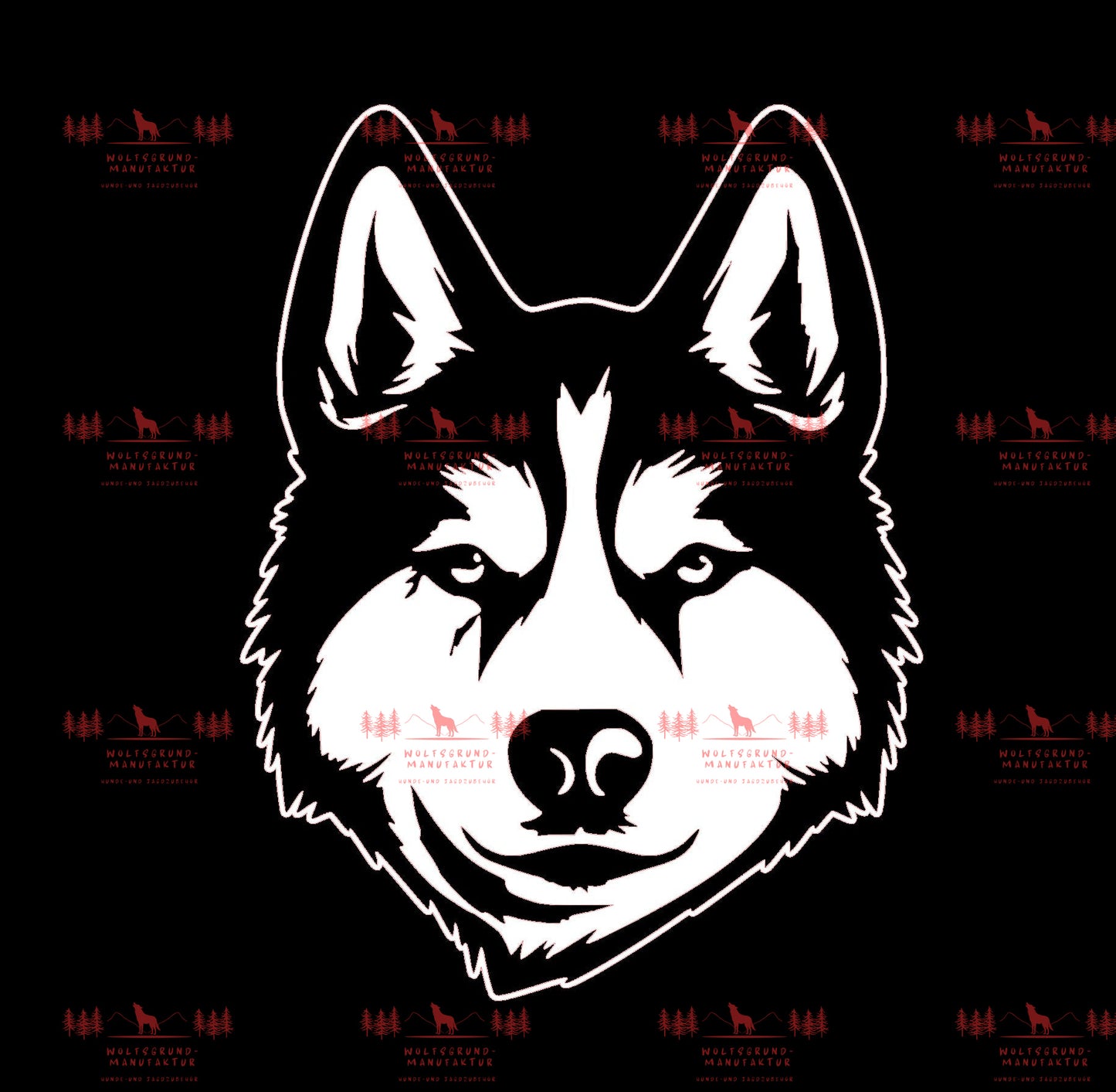 Siberian Husky 2