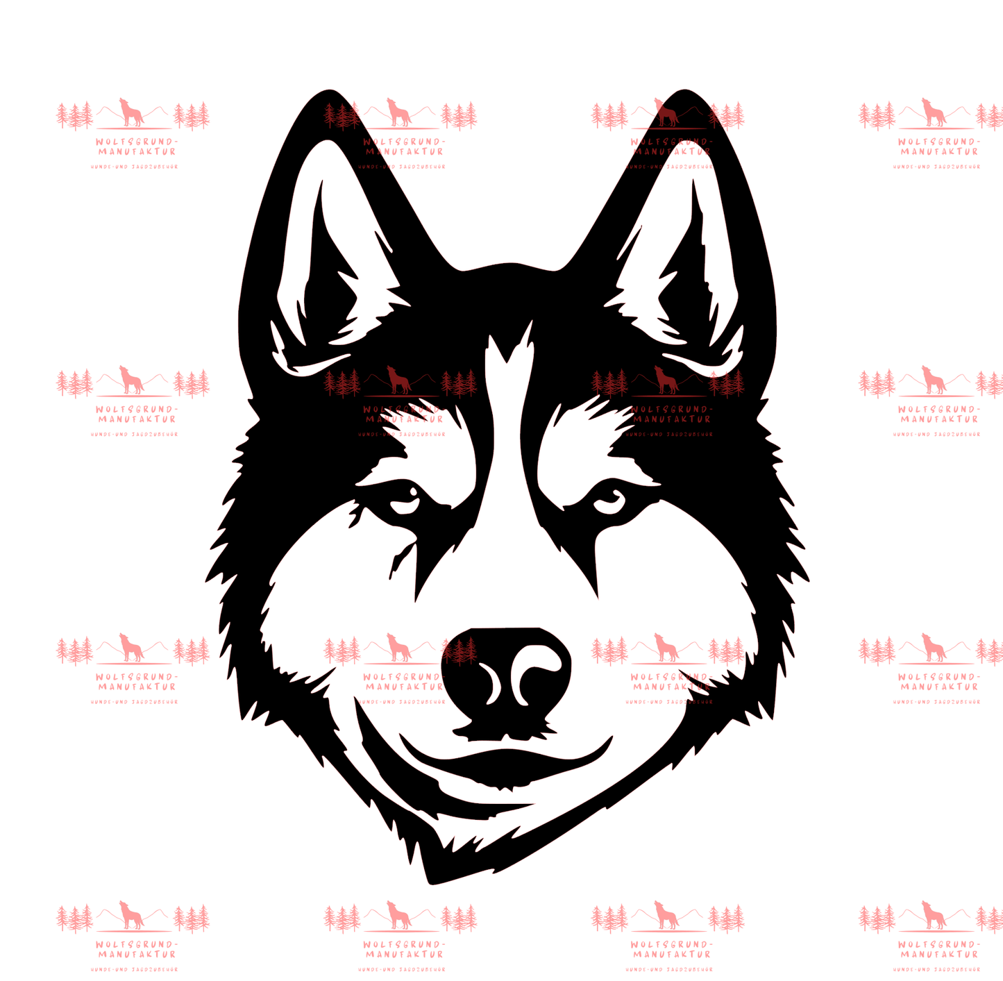 Siberian Husky 2