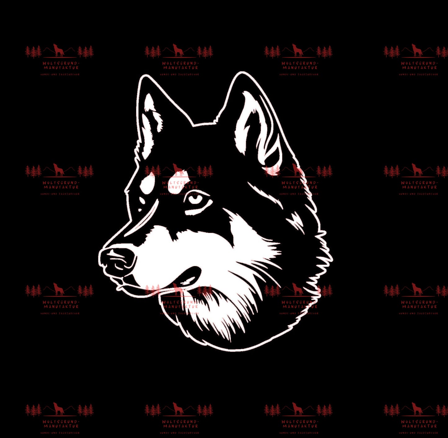 Siberian Husky 3