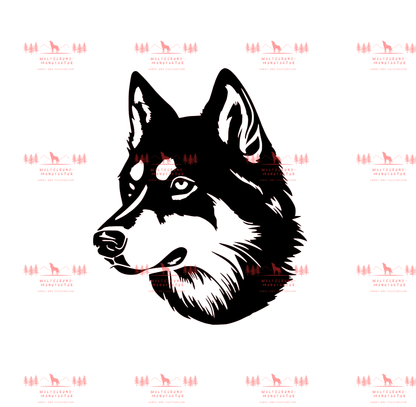 Siberian Husky 3
