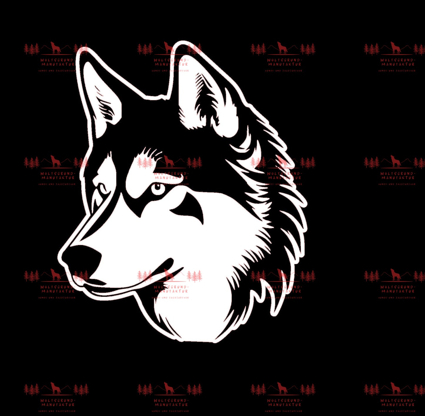 Siberian Husky 4