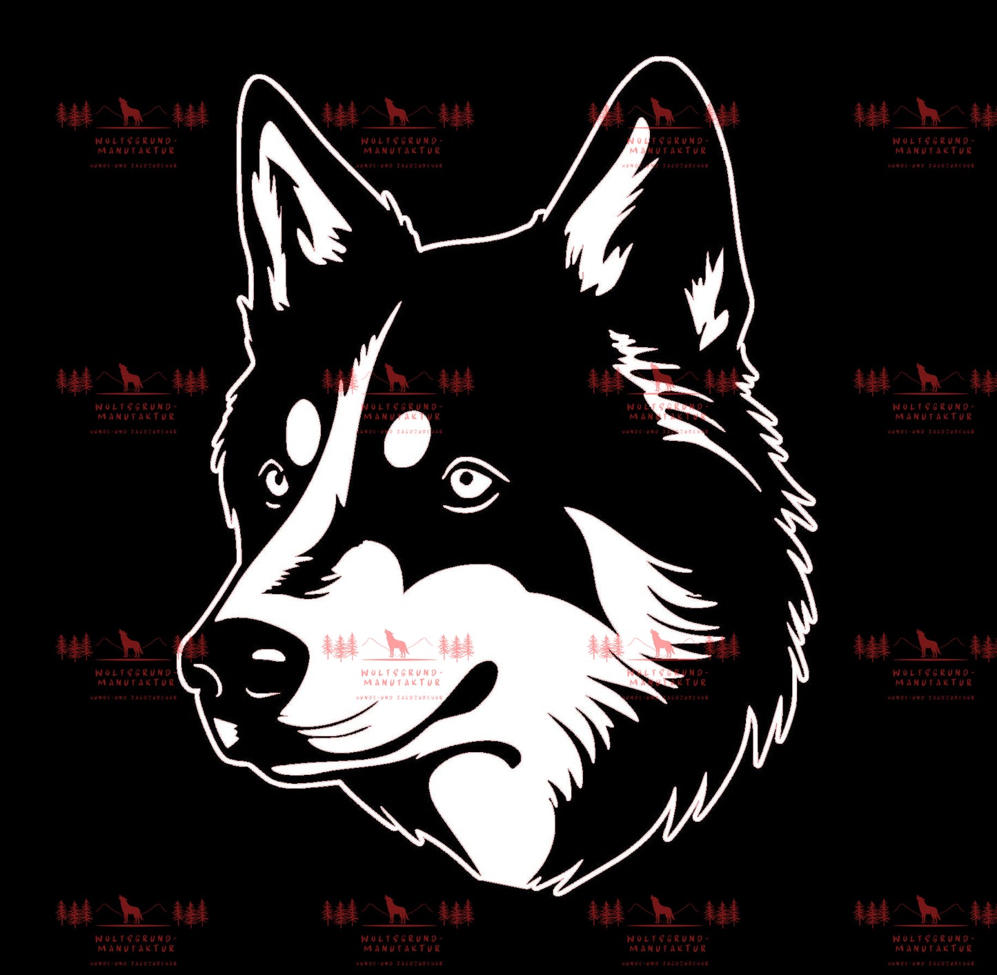 Siberian Husky 5