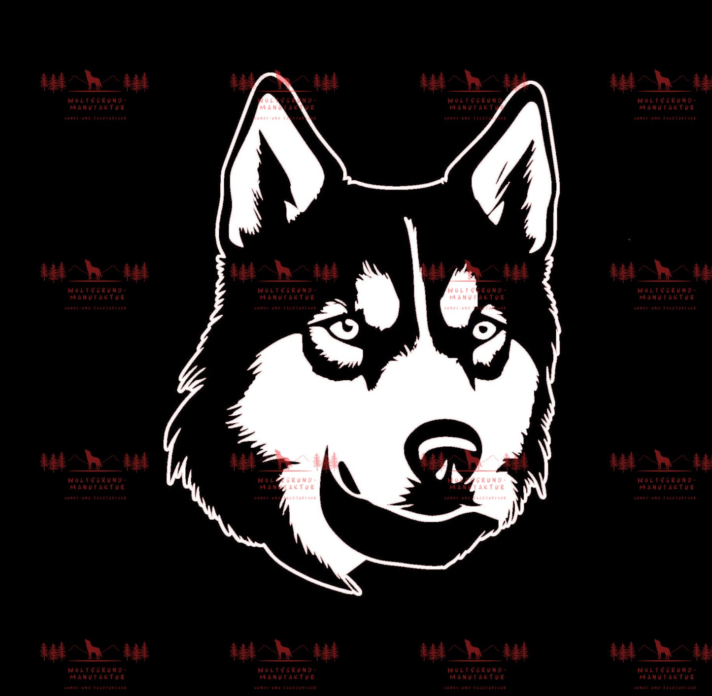 Siberian Husky 7