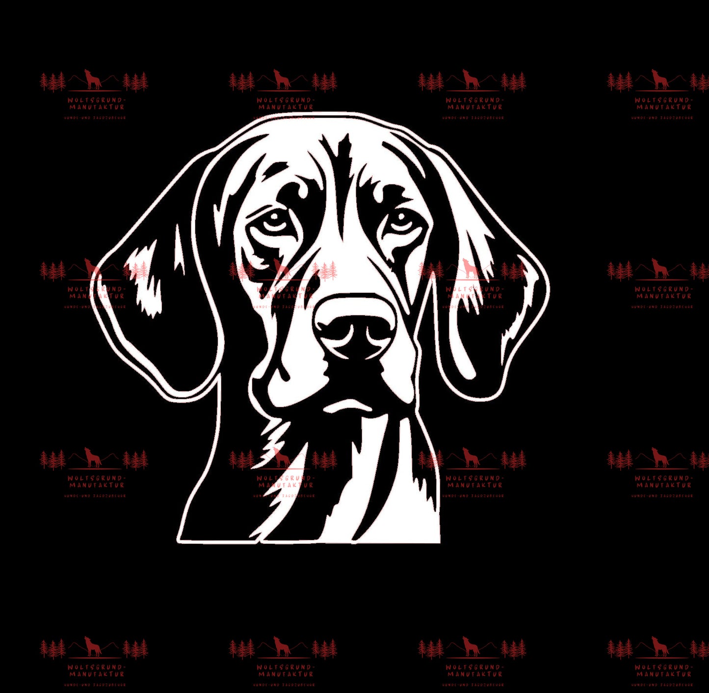 Vizsla 1