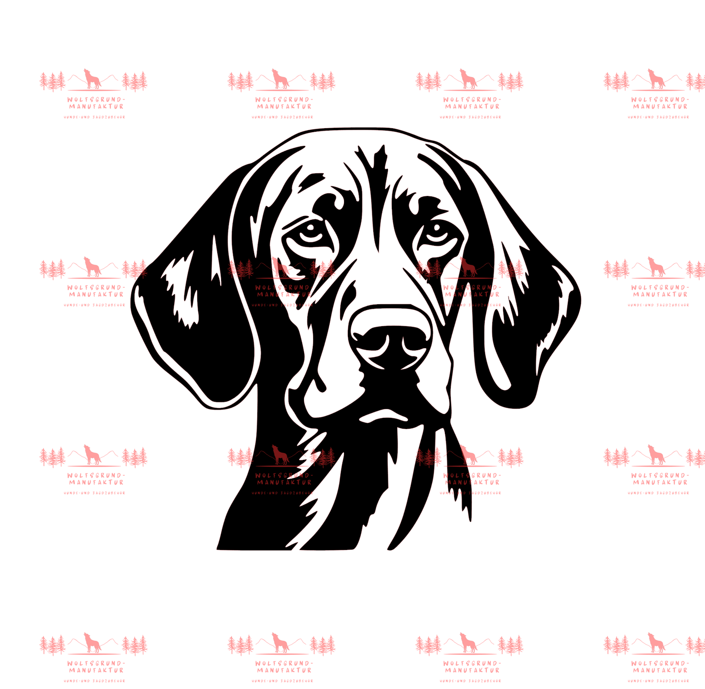 Vizsla 1