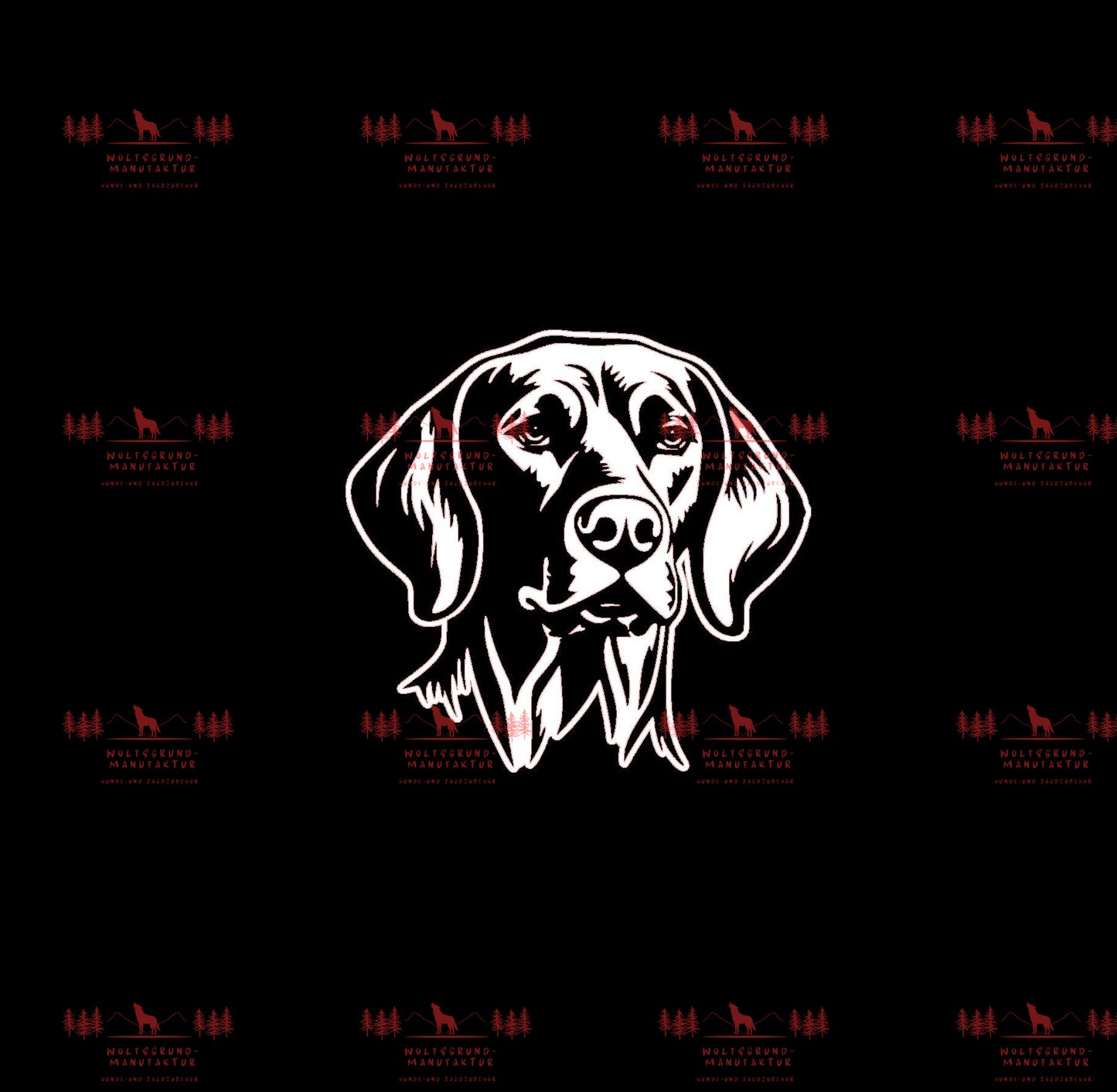 Vizsla 10
