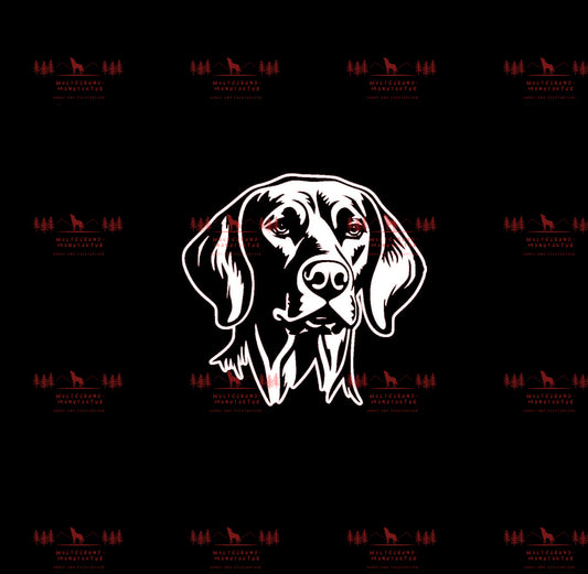 Vizsla 10