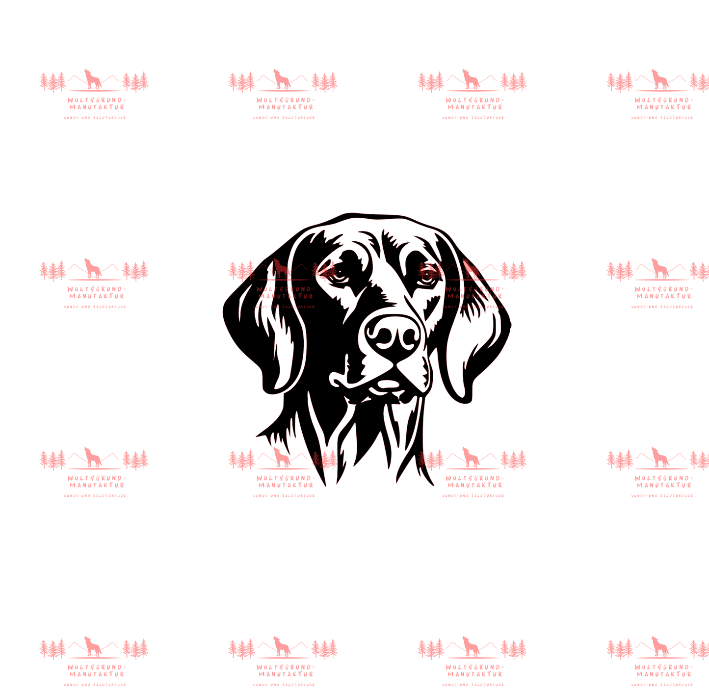 Vizsla 10