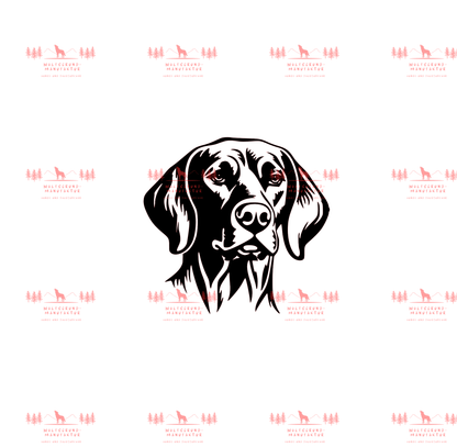 Vizsla 10