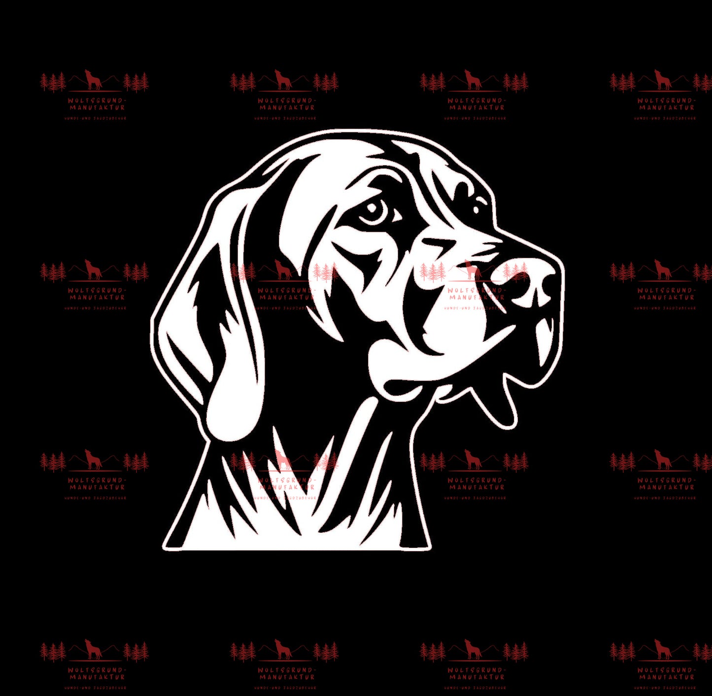 Vizsla 11