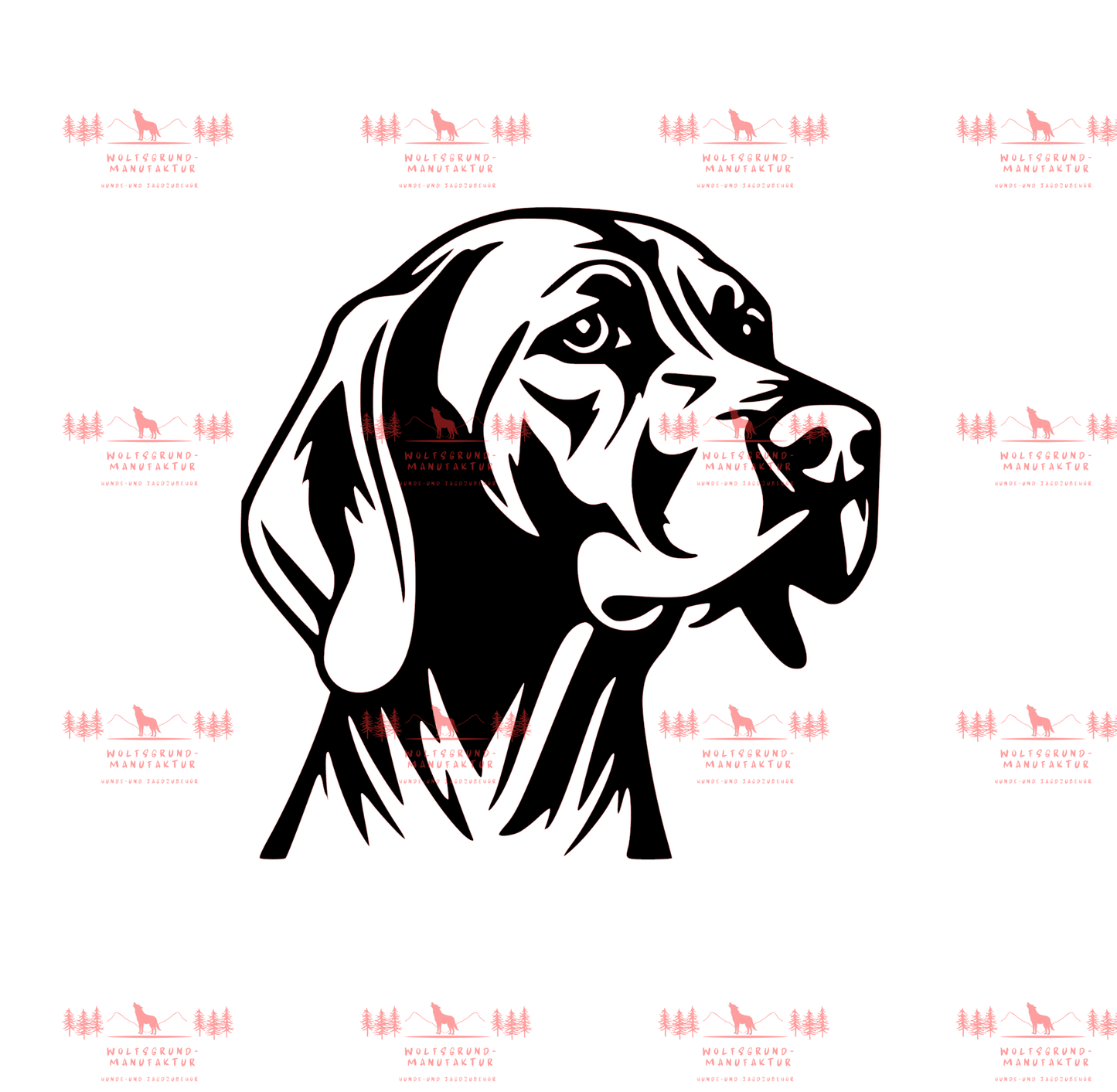 Vizsla 11