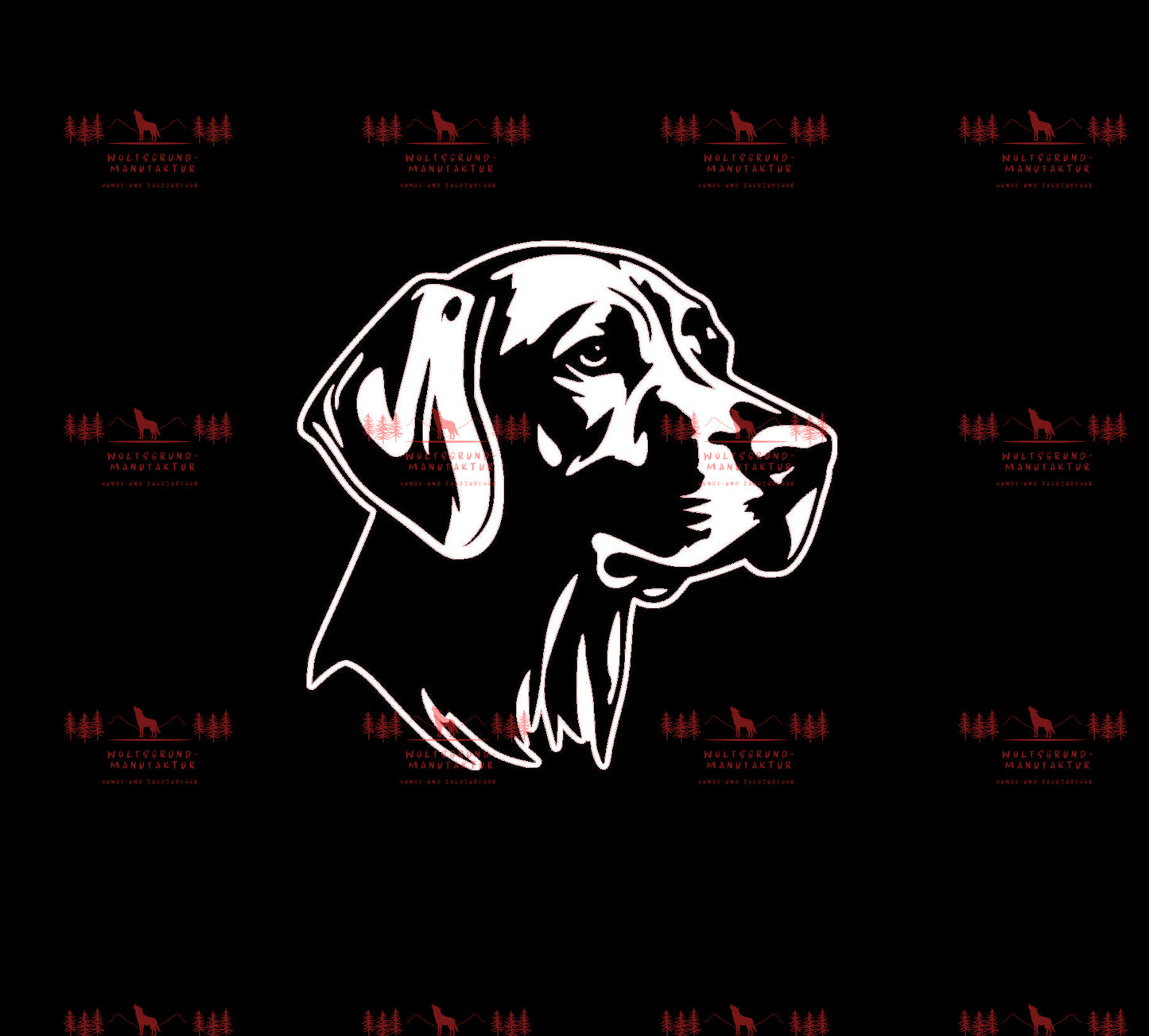 Vizsla 12