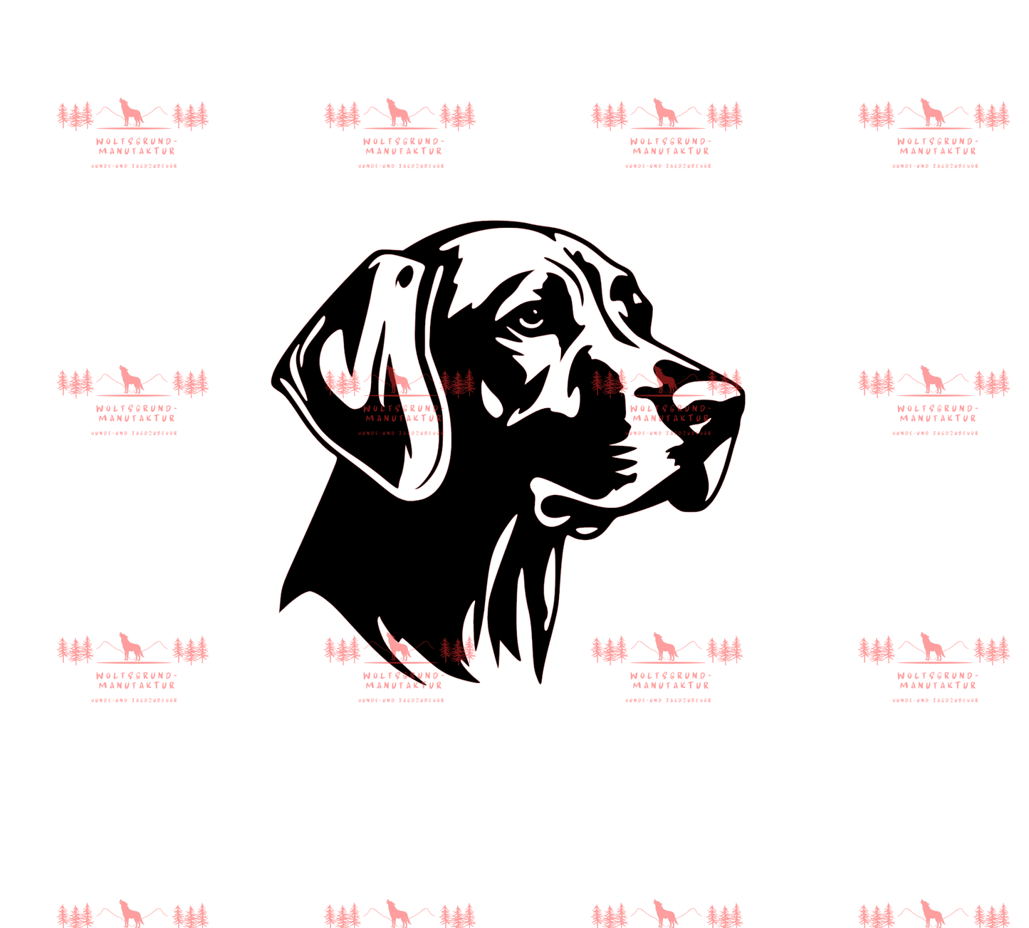 Vizsla 12