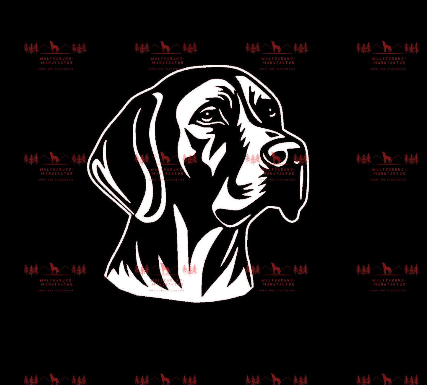 Vizsla 13