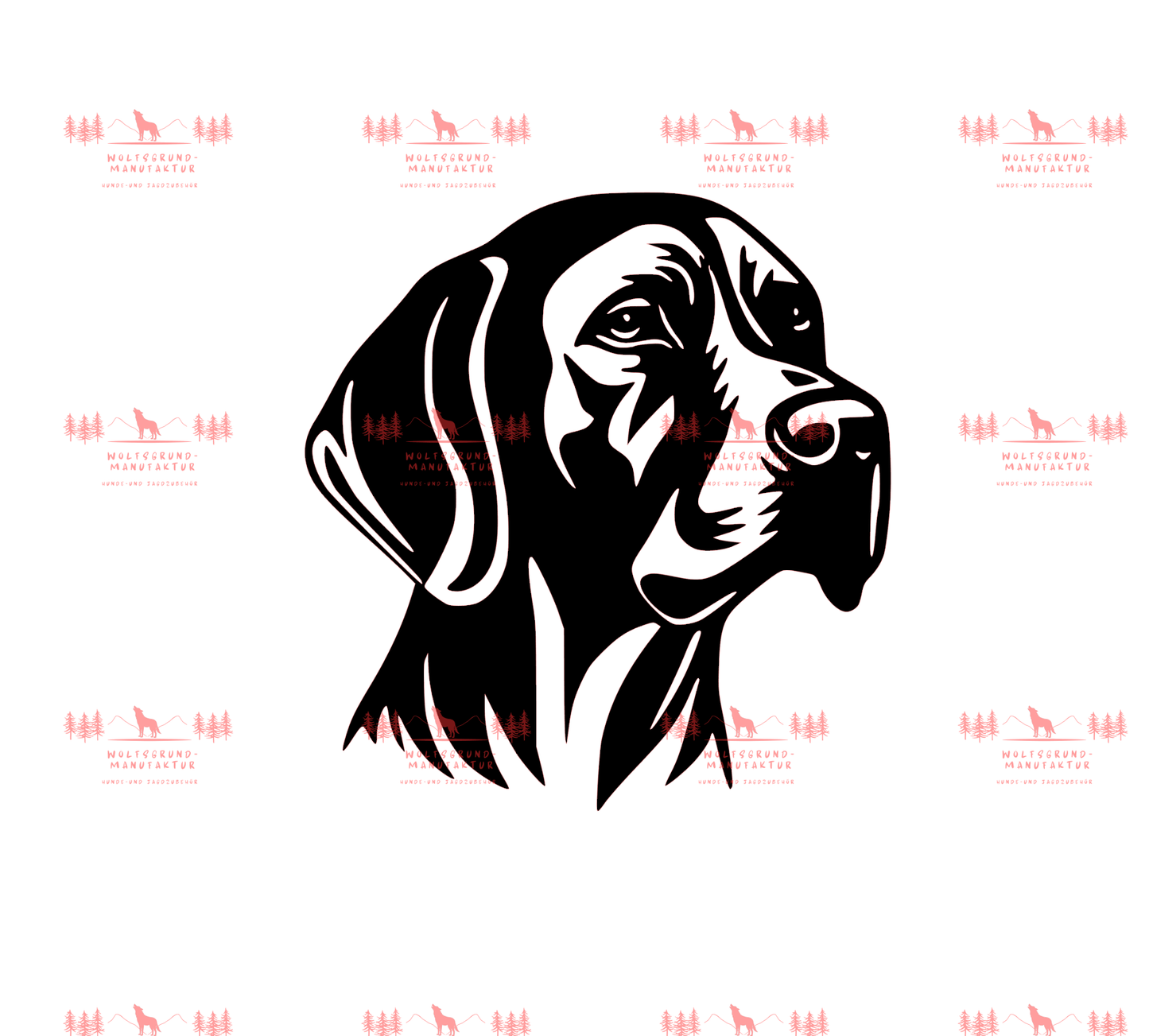 Vizsla 13