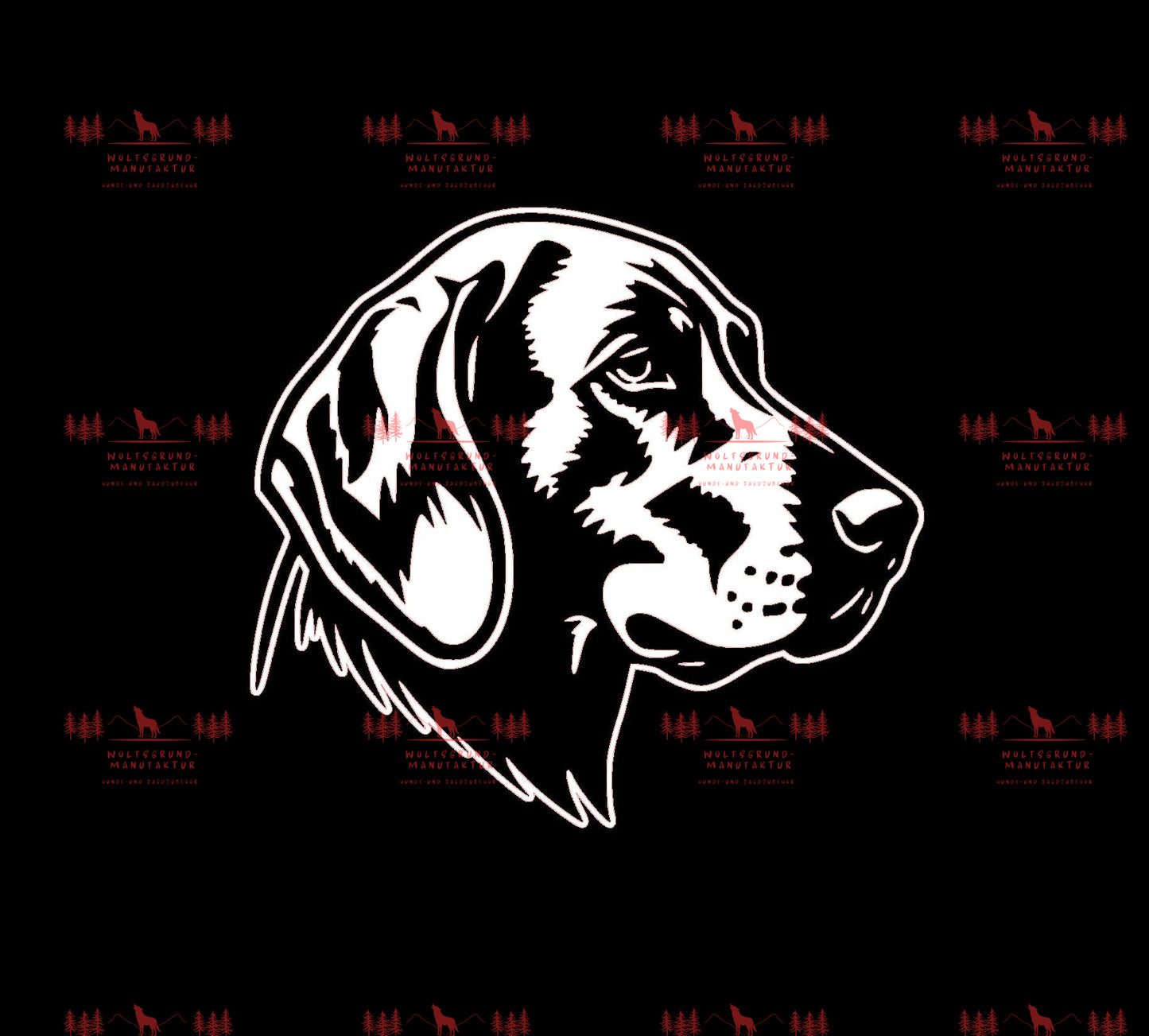 Vizsla 14