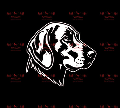 Vizsla 14