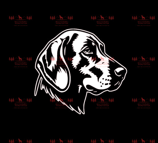 Vizsla 14