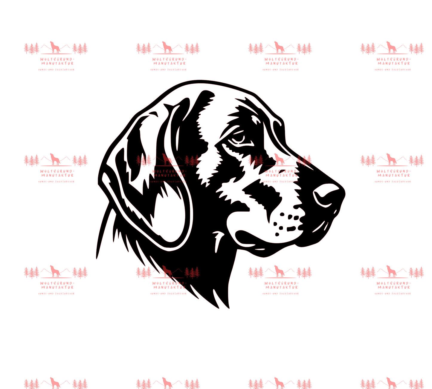 Vizsla 14