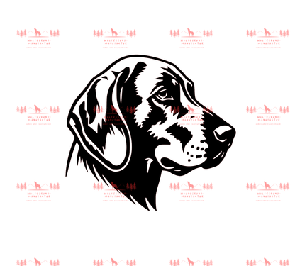 Vizsla 14
