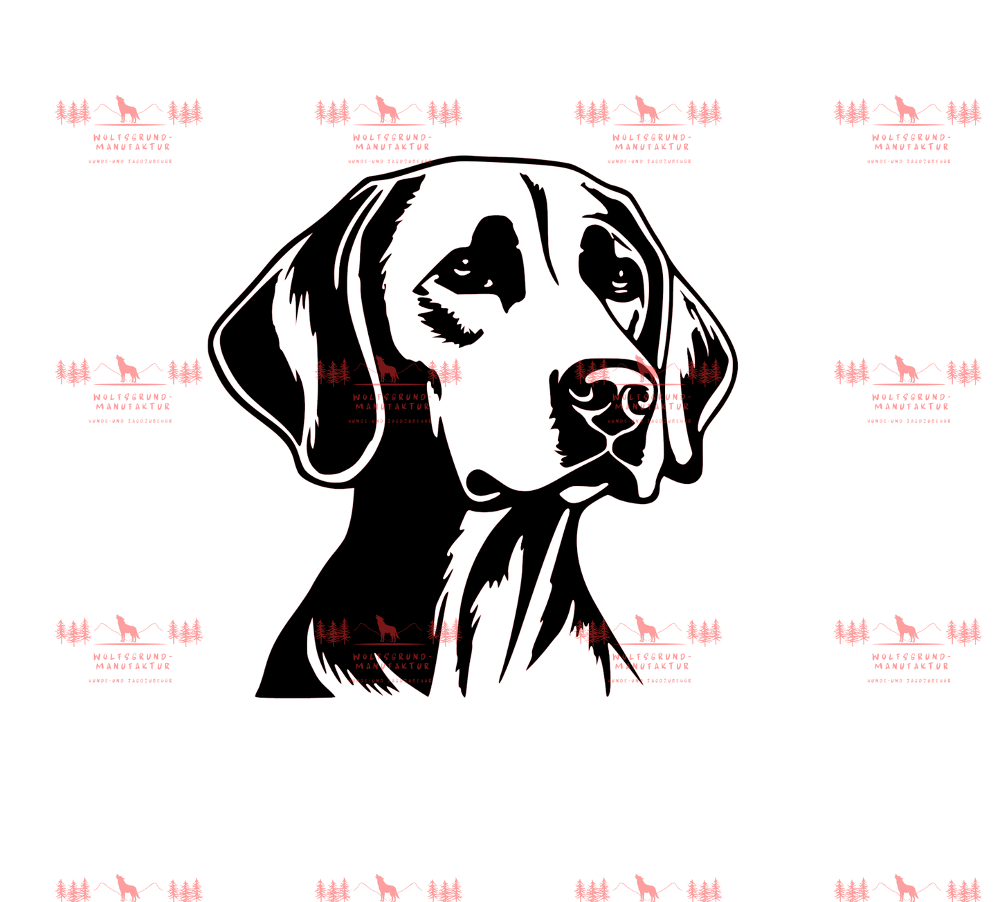 Vizsla 2