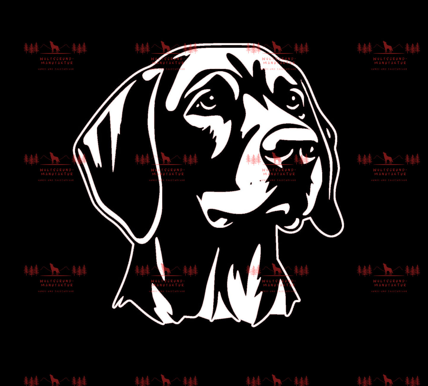 Vizsla 3