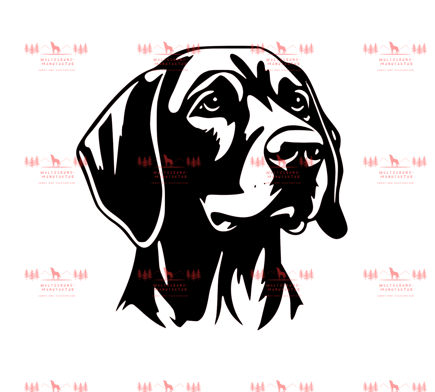 Vizsla 3
