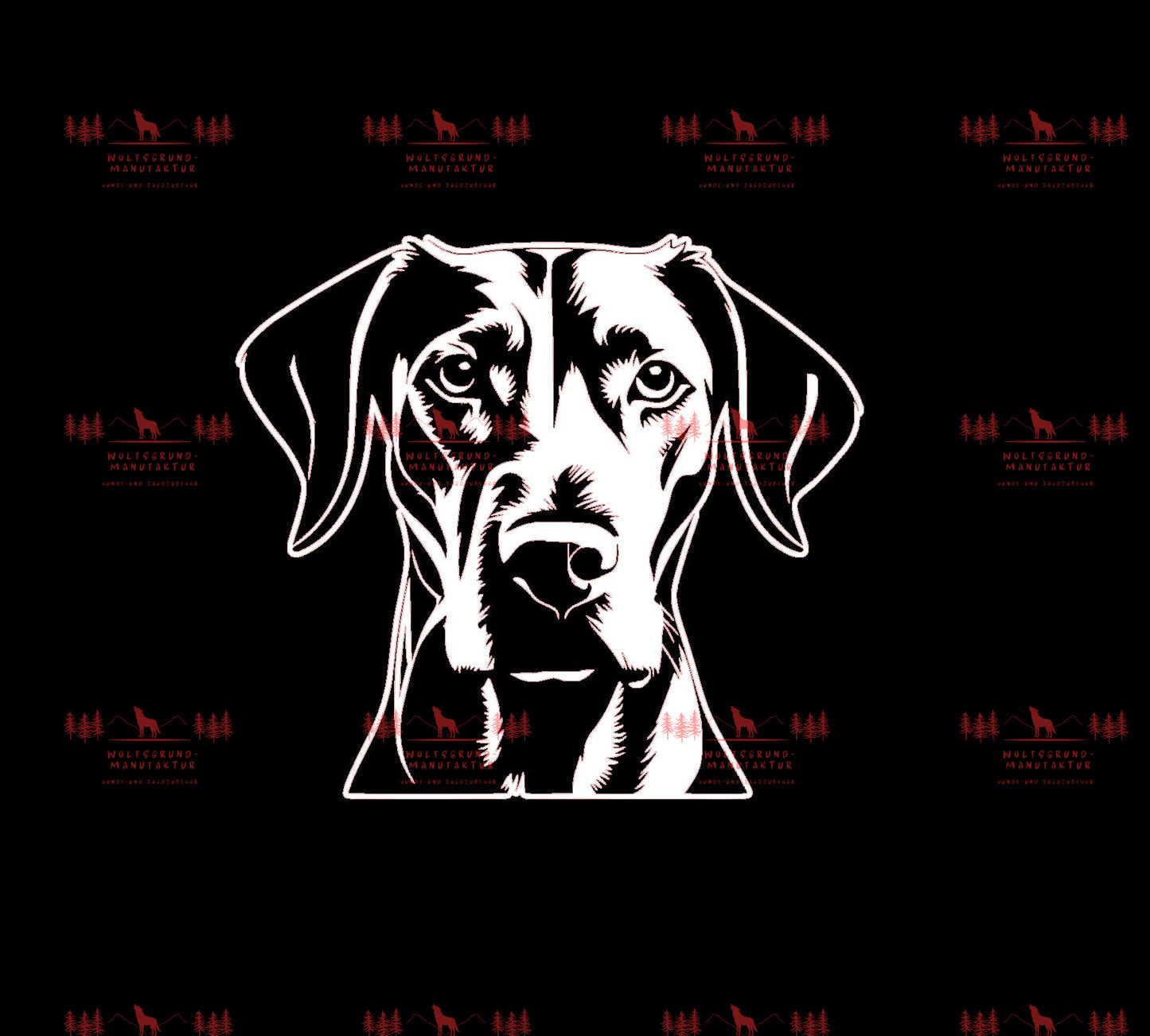 Vizsla 4