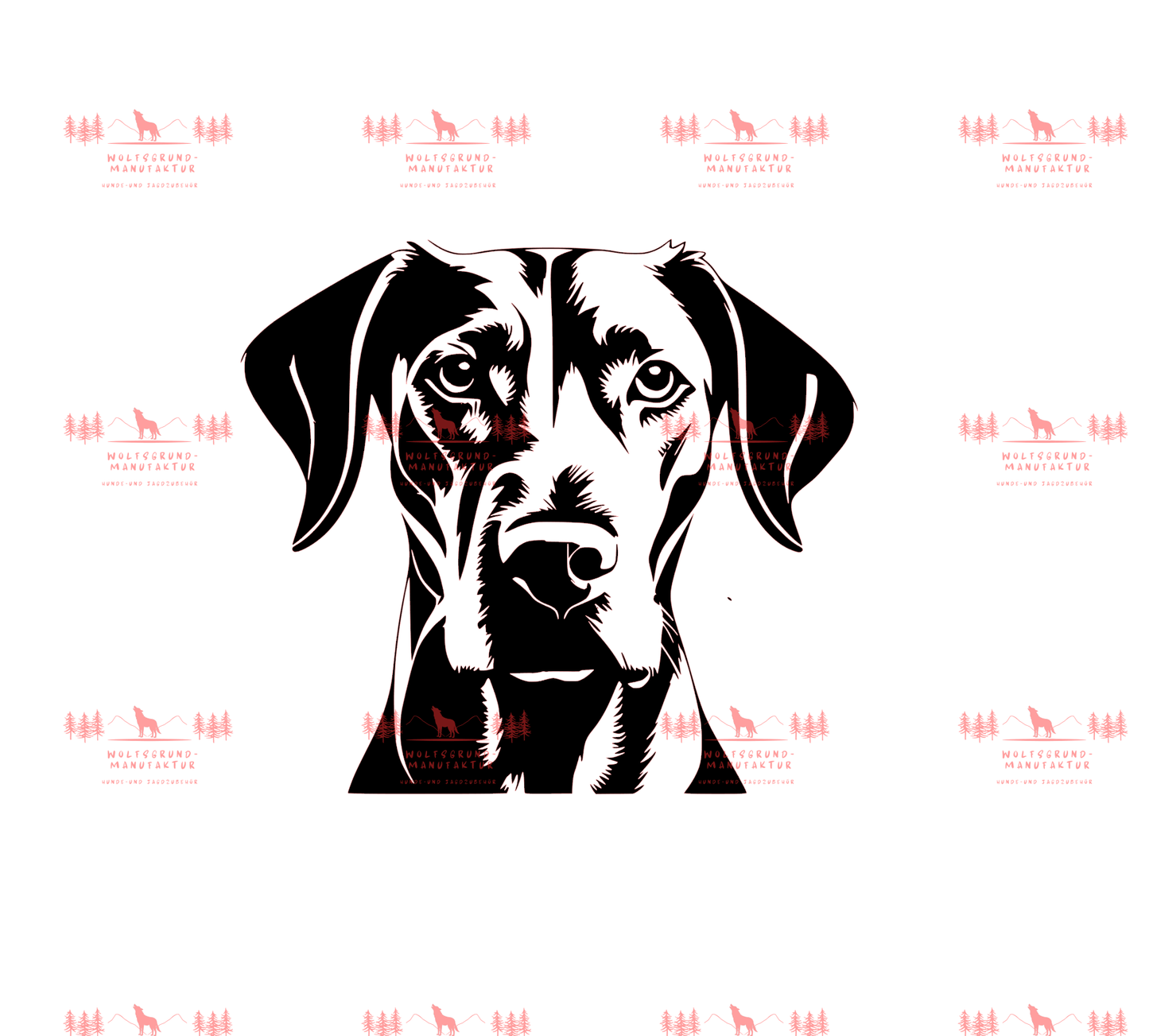 Vizsla 4