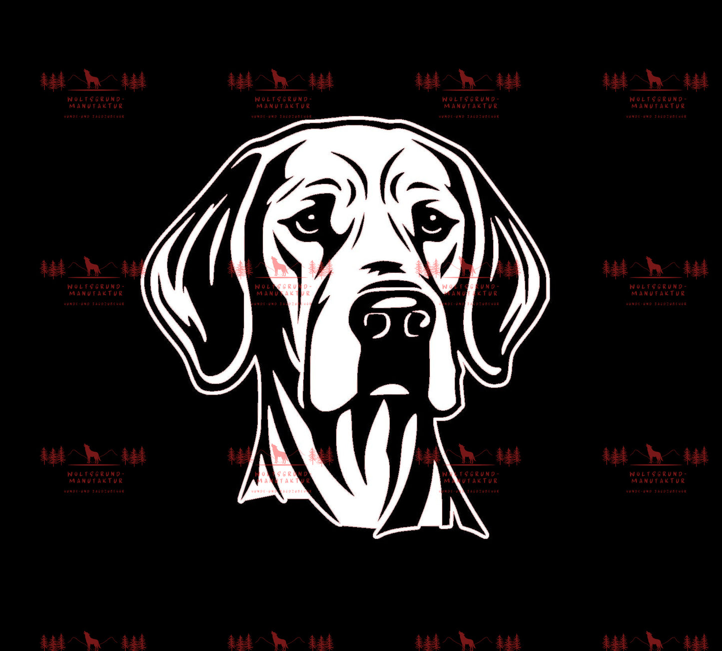 Vizsla 5