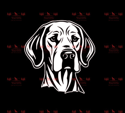 Vizsla 5