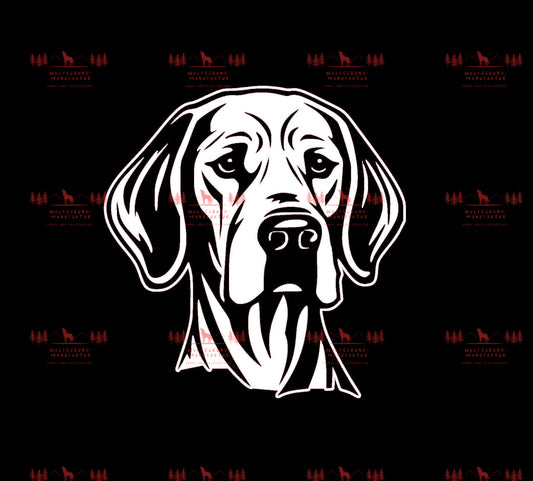 Vizsla 5