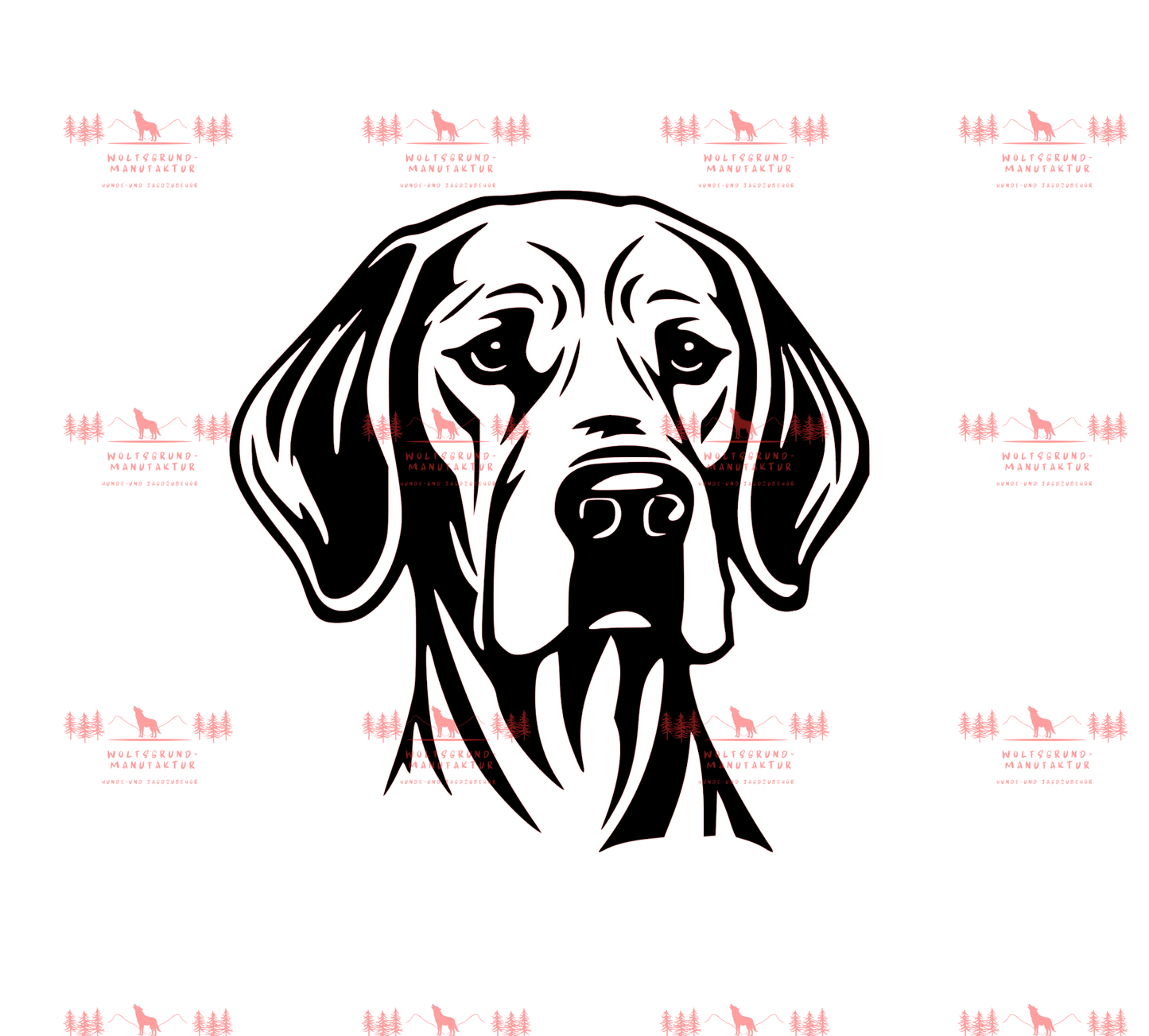 Vizsla 5