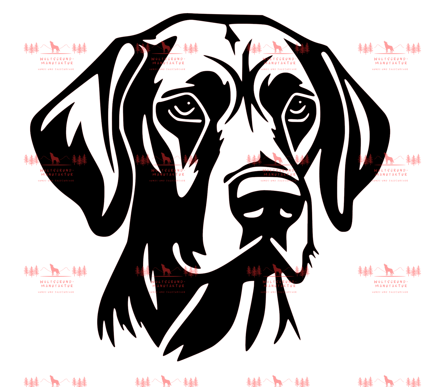 Vizsla 6